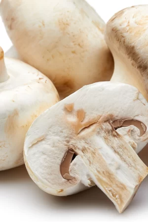 Mushrooms